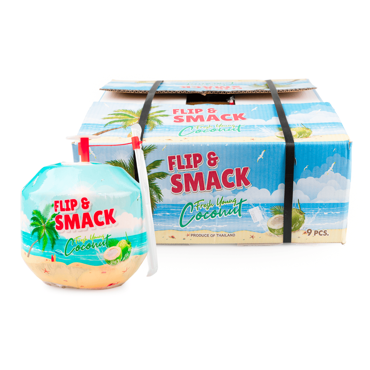 Easy Open Young Coconut 1 case