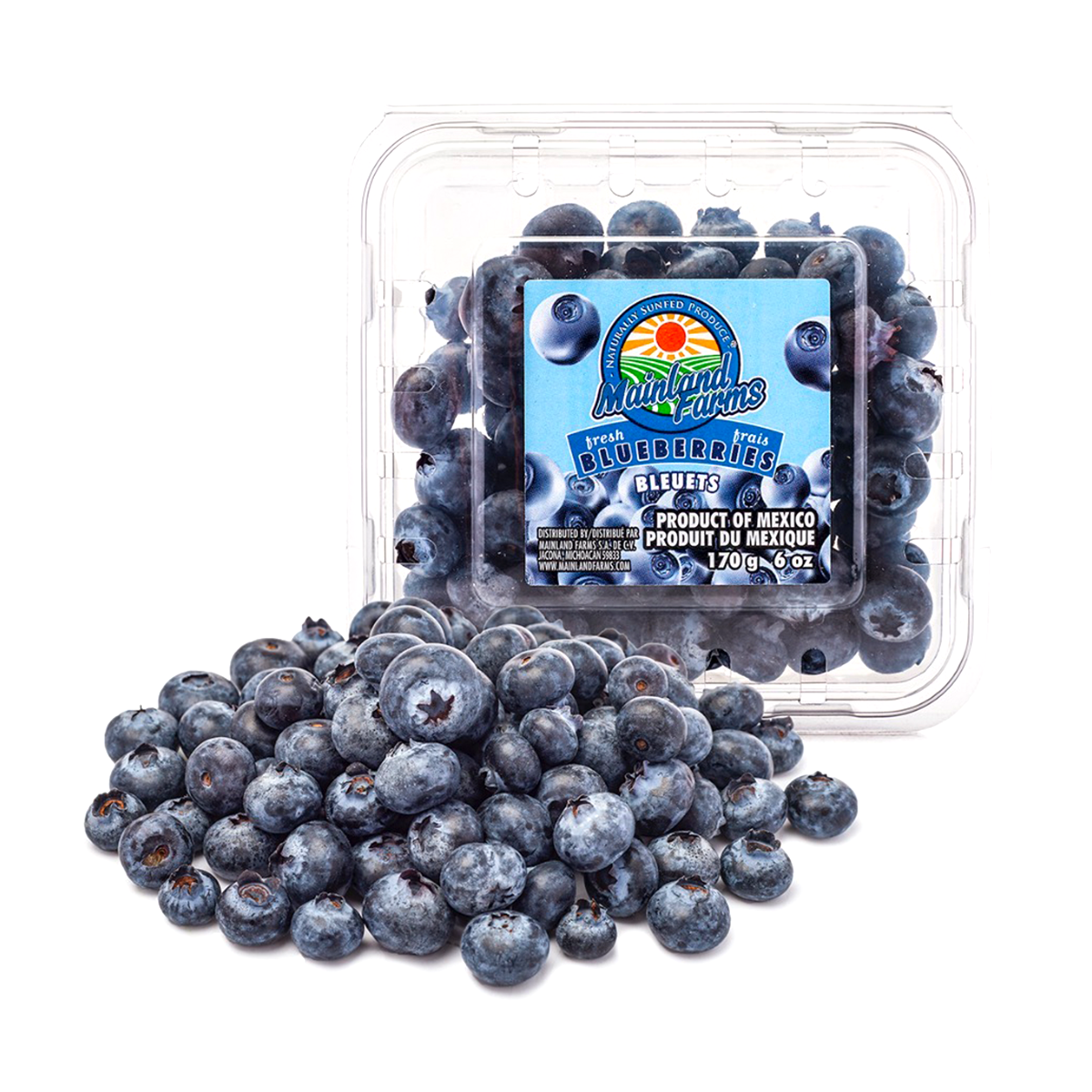 Blueberry 6 oz