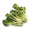 Tat Choy 1.5 lb