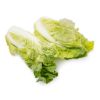 Sweet Bok Choy 2-2.5 lb